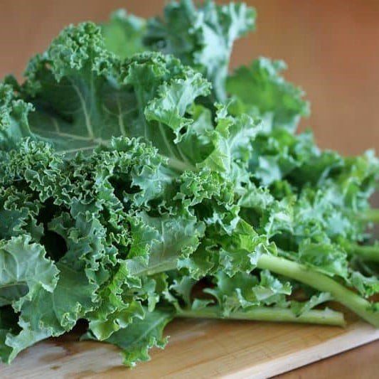 C 7843 i Kale Xo 259 n