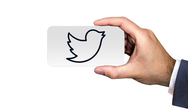 Elon Musk s Twitter ownership begins with firings 