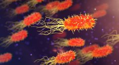 Understand how germs affect the body Tiny invaders