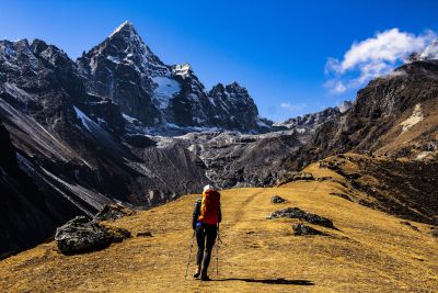 Khumbu Nepal Tourists or Trees