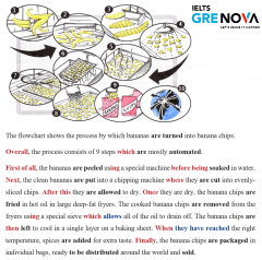 Ielts writing process Banana chips