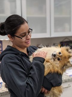 It s Not Just Physicians and Nurses Veterinarians 